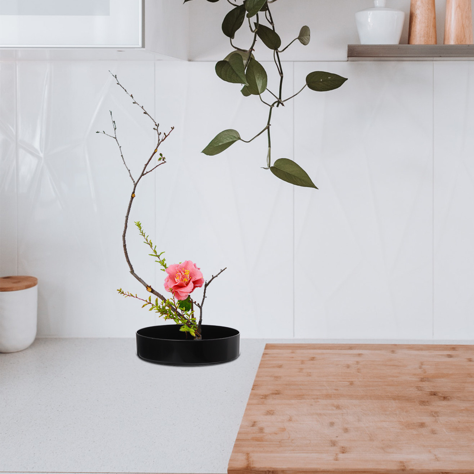 Bonsai Gardening - Flower Arrangement Plate Creative Flowerpot Zen