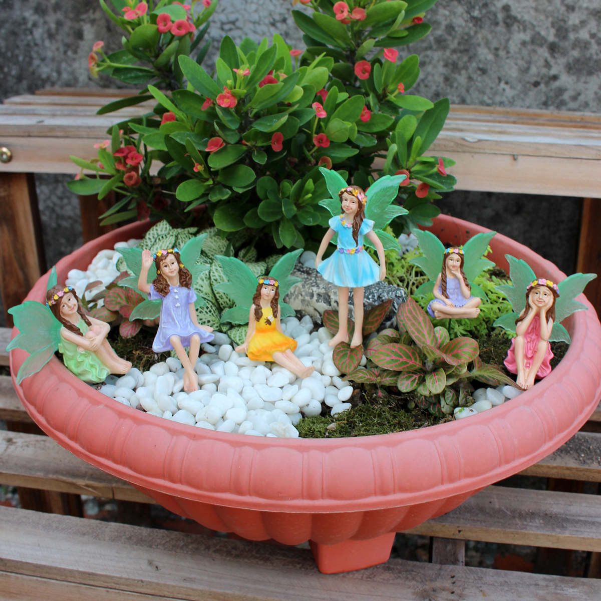 6pc Night Light Wings Flower F - огляд і ціна Bonsai Garden World