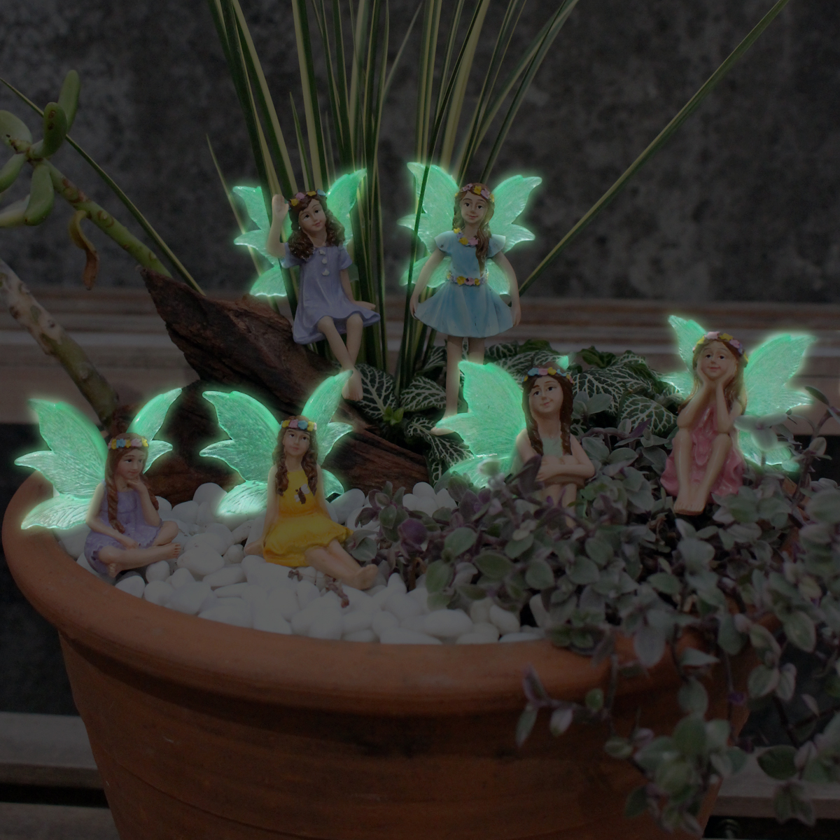 6pc Night Light Wings Flower F - огляд і ціна Bonsai Garden World