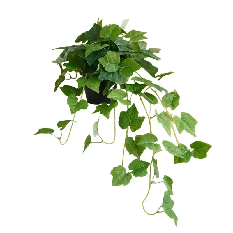 Garden Decoration Length Is Ab - огляд і ціна Bonsai Garden Set Up