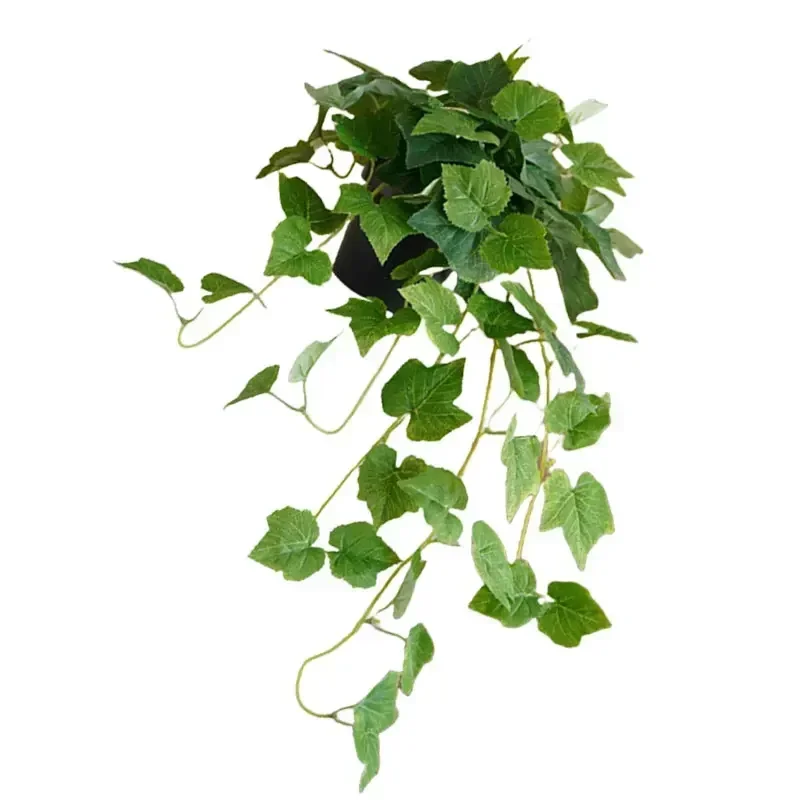 Garden Decoration Length Is Ab - огляд і ціна Bonsai Garden Set Up
