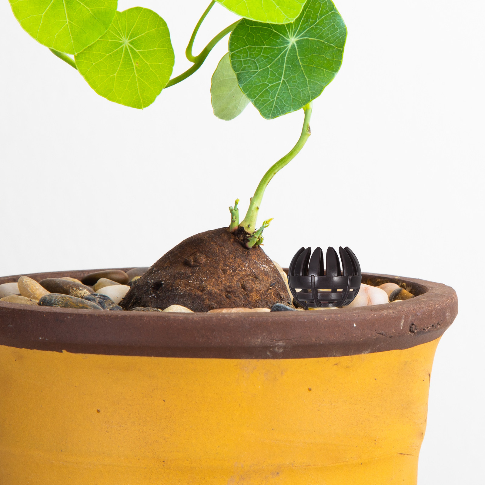 20Pcs ABS Fertilizer Basket fo - огляд і ціна Bonsai Gardening