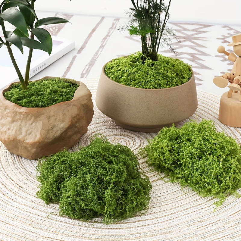 20g/0.7oz Artificial Garden Fa - огляд і ціна Bonsai Garden Indoor