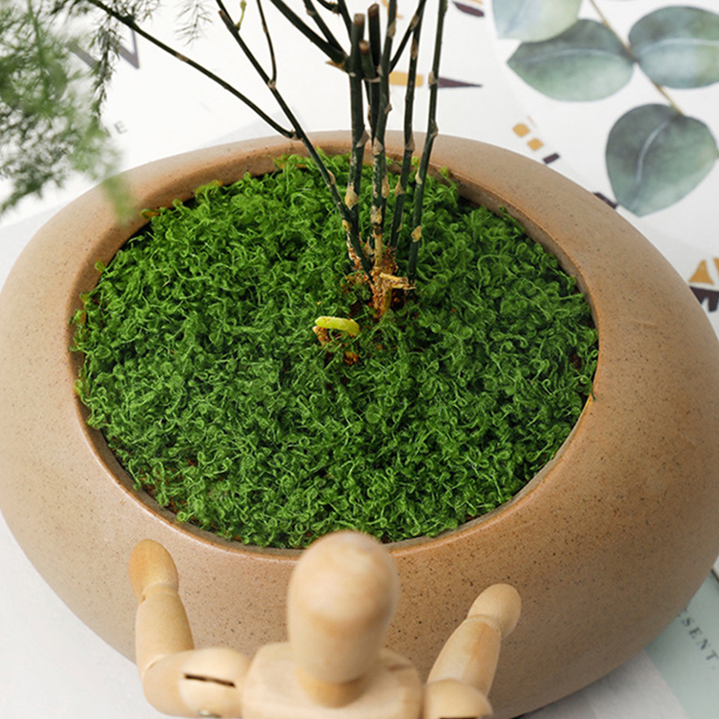 20g/0.7oz Artificial Garden Fa - огляд і ціна Bonsai Garden Indoor