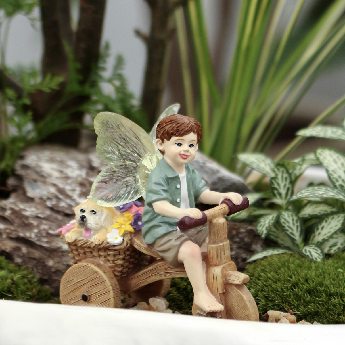 1 piece of transparent winged  - огляд і ціна Bonsai Garden World