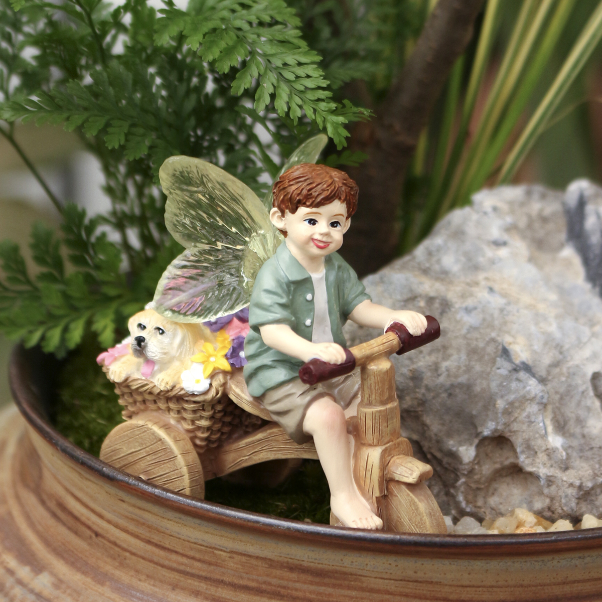 1 piece of transparent winged  - огляд і ціна Bonsai Garden World