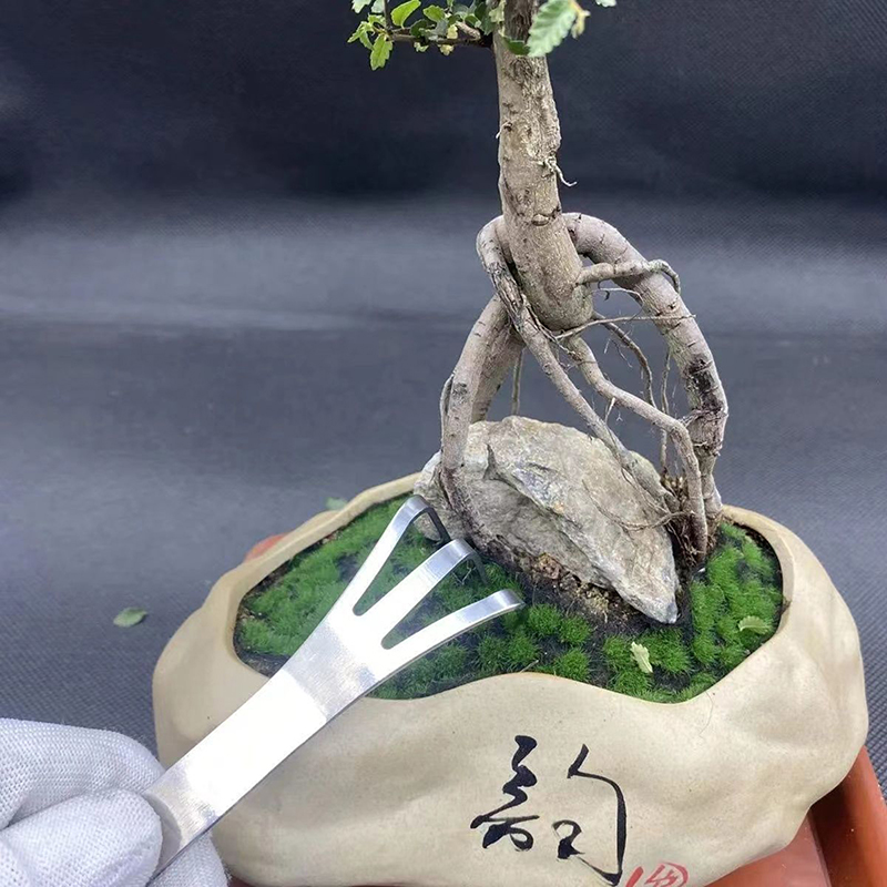 1Pc Stainless Steel Root Rake  - огляд і ціна Bonsai Garden Tree