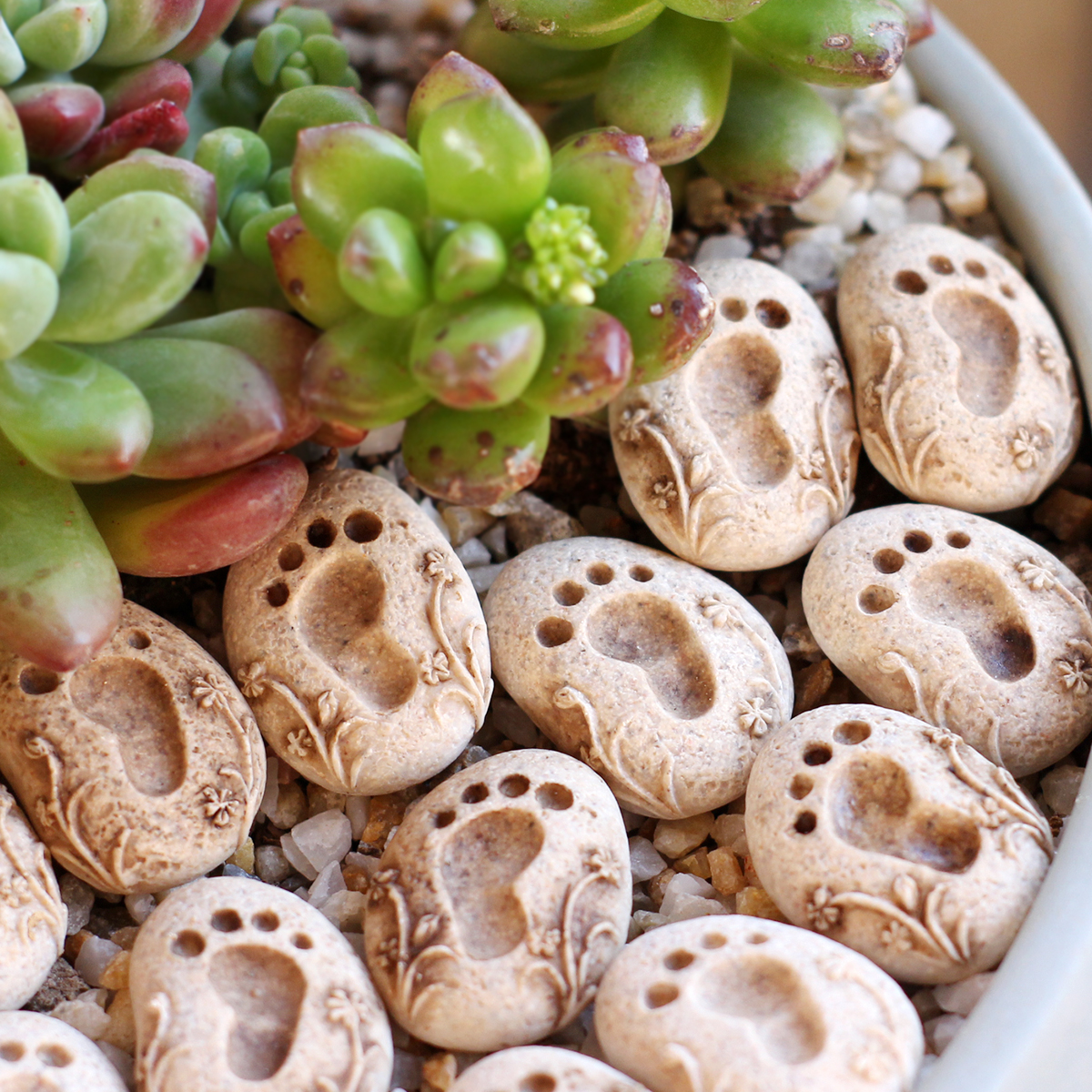 20 Pieces of Garden Footprint  - огляд і ціна Bonsai Garden World