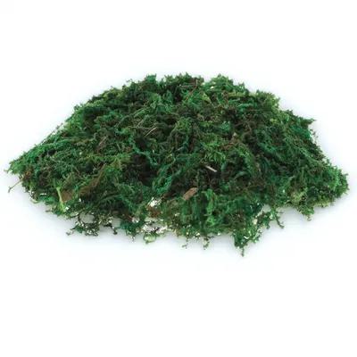 1Pack Natural-Looking Fake Mos - огляд і ціна Bonsai Garden Indoor