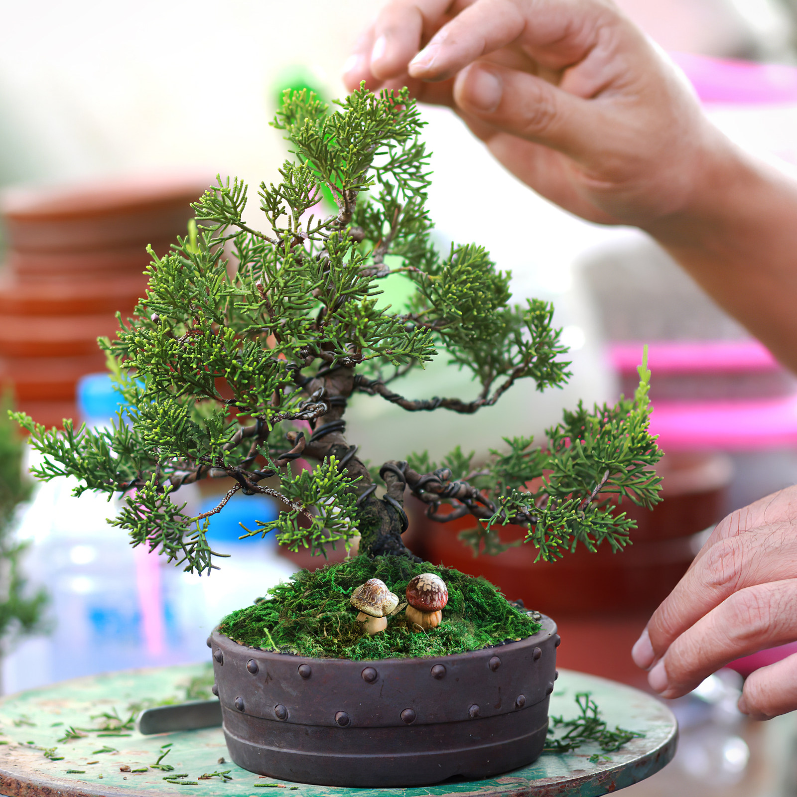 1Pack Natural-Looking Fake Mos - огляд і ціна Bonsai Garden Indoor