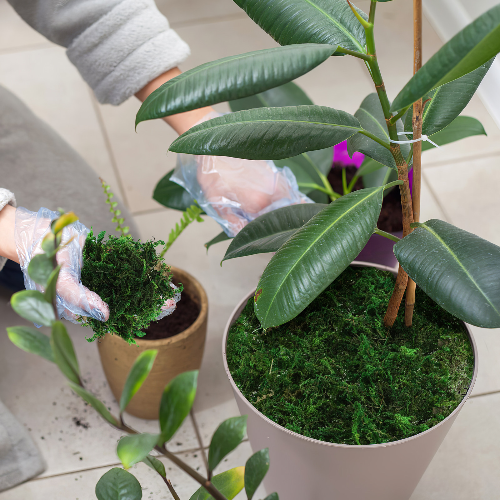 1Pack Natural-Looking Fake Mos - огляд і ціна Bonsai Garden Indoor
