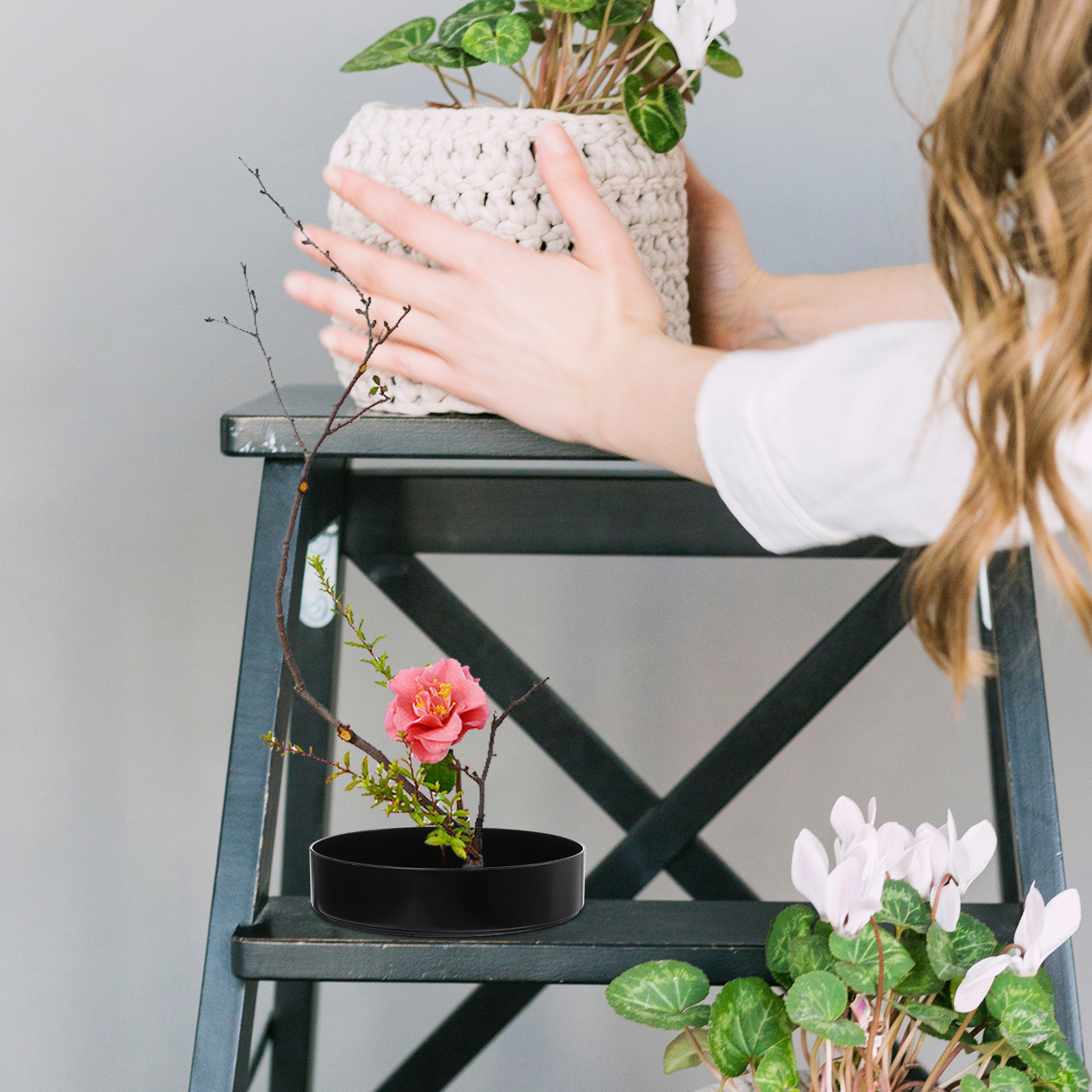 Flower Arrangement Plate Creat - огляд і ціна Bonsai Gardening
