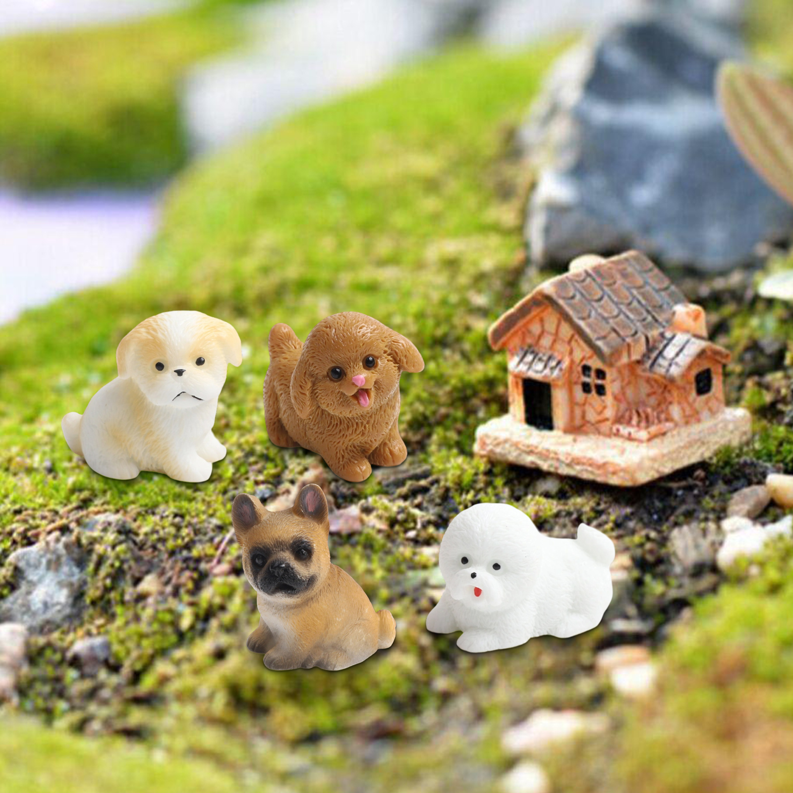 Fairy Garden Decor Miniature D - огляд і ціна Bonsai Garden Set Up