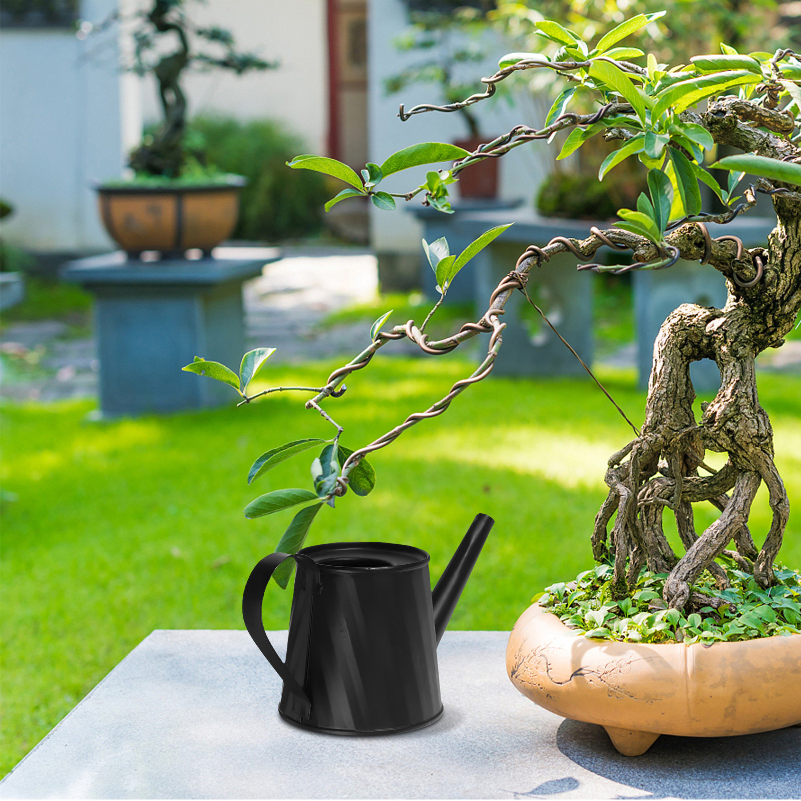 Mini Watering Can for Indoor P - огляд і ціна Bonsai Garden Indoor