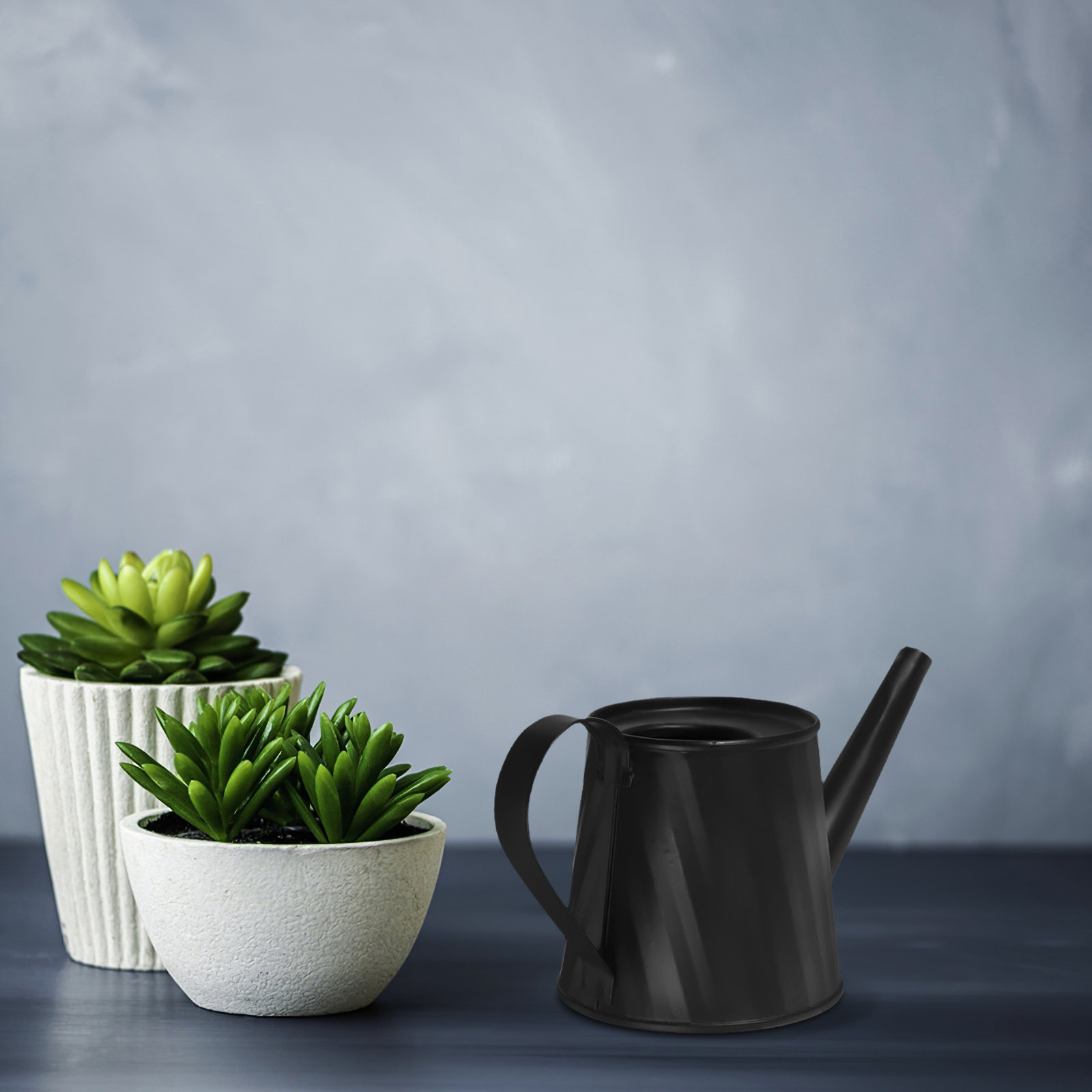 Mini Watering Can for Indoor P - огляд і ціна Bonsai Garden Indoor