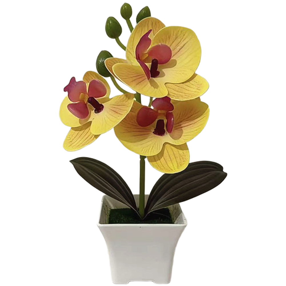 Plastic Phalaenopsis Orchid Fl - огляд і ціна Bonsai Garden Set Up