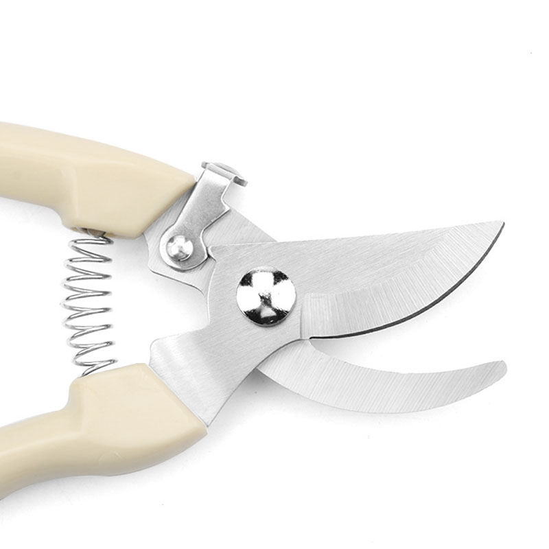 Stainless Steel Garden Scissor - огляд і ціна Bonsai Garden World