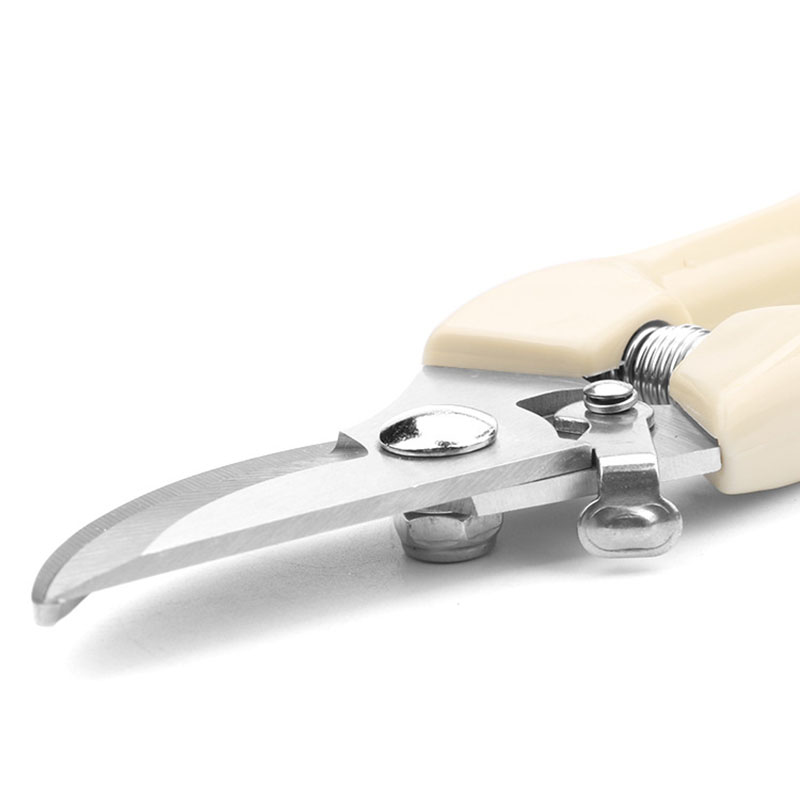 Stainless Steel Garden Scissor - огляд і ціна Bonsai Garden World