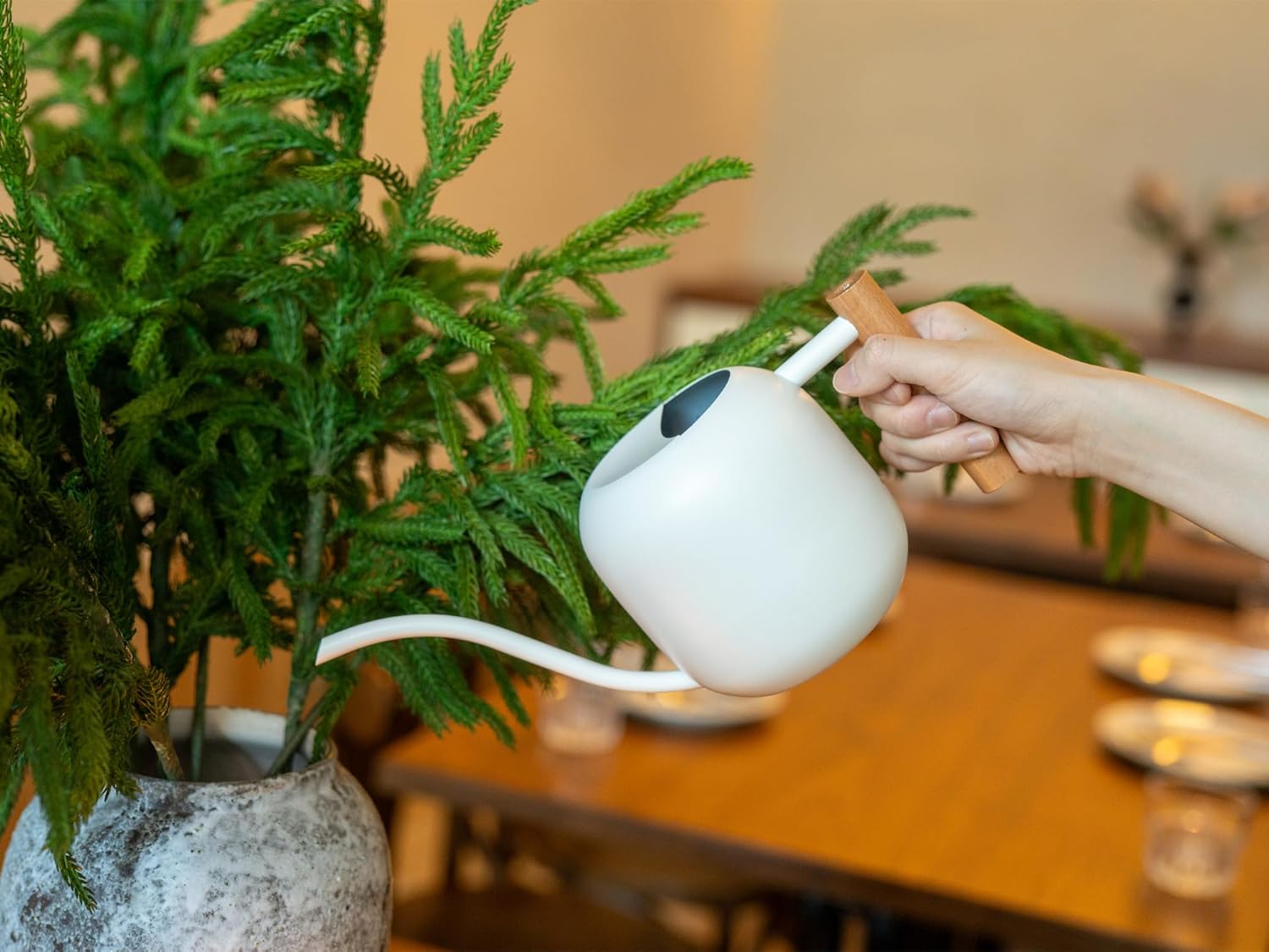 1.2L/41oz Metal Watering Can w - огляд і ціна Bonsai Garden Indoor