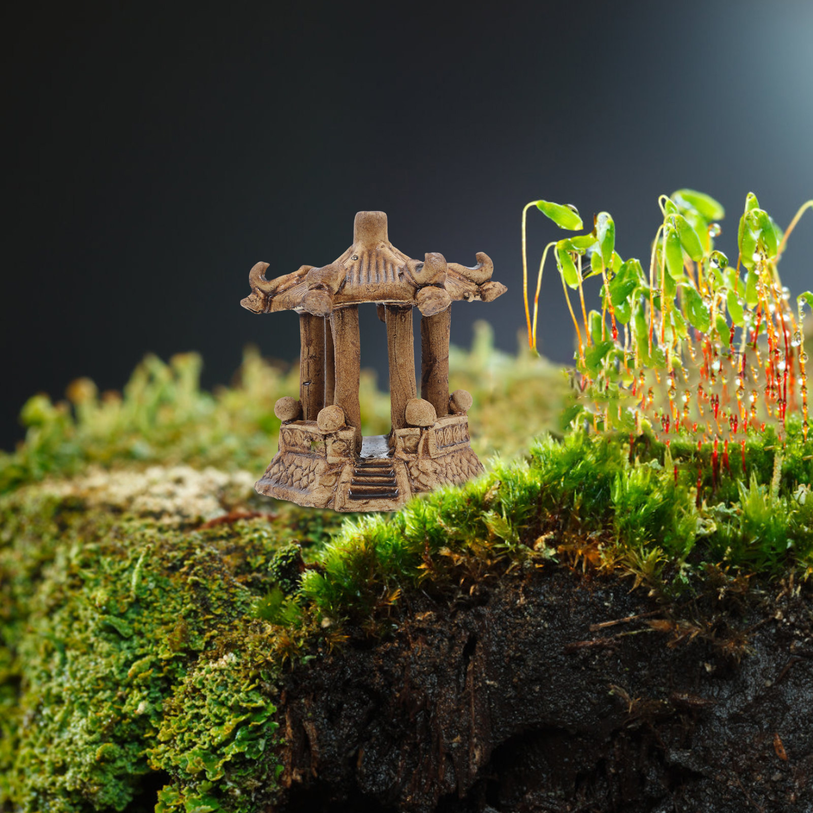 Miniature Hexagonal Pagoda Sta - огляд і ціна Bonsai Gardening