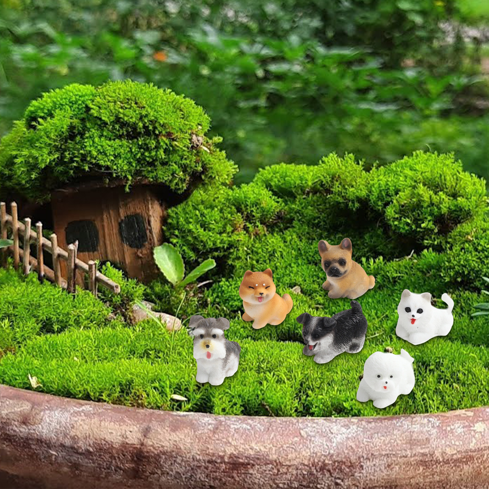 Fairy Garden Decor As Picture  - огляд і ціна Bonsai Garden Set Up