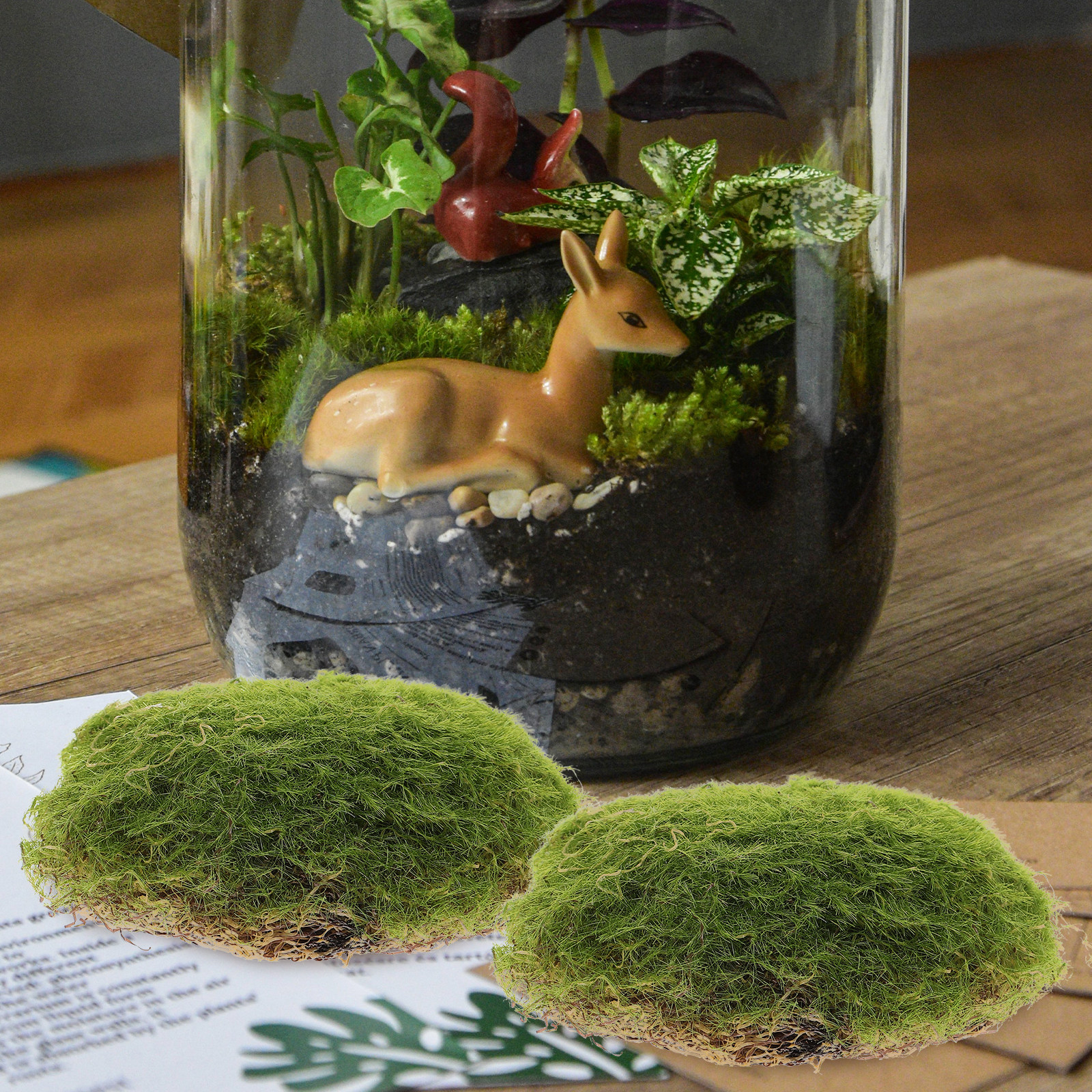 6Pcs Versatile Artificial Moss - огляд і ціна Bonsai Garden Set Up