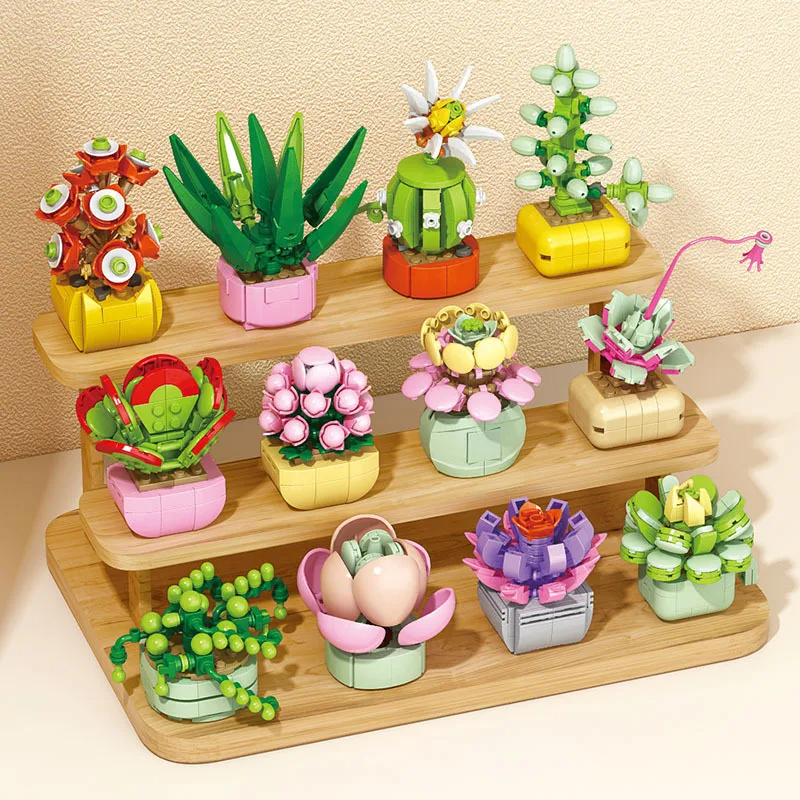 Flowers Succulents Building Bl - огляд і ціна Bonsai Garden World