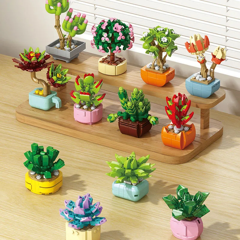 Flowers Succulents Building Bl - огляд і ціна Bonsai Garden World